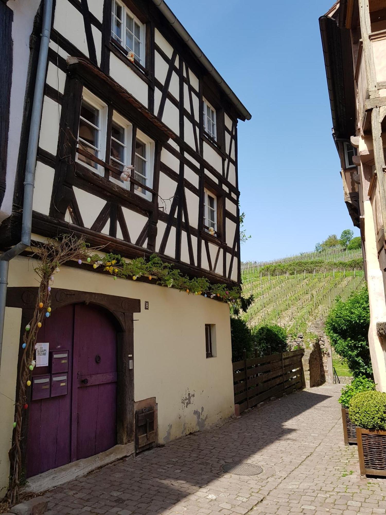 La Maison Vigneronne Ρικβίρ Εξωτερικό φωτογραφία